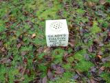 image of grave number 358343